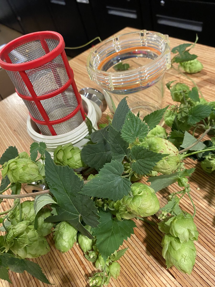 windshiftbrew's tweet photo. Remember #SmallBatchSundays? Well, they’re back! This week we picked Columbus hops off the patio and infused them into a couple kegs of #SolarTsunami. You are not going to want to miss this. #seeyouatnoon #liquidsunshine #forarainyday https://t.co/4d7ExxCJEQ