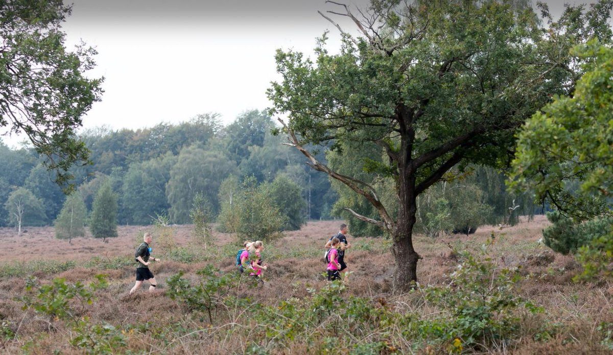 Terwijl 8 LA1-ers vrijdag mooie tijden liepen bij de BB Baan Classic (Zwolle), zocht Peter Bon de natuur op in de RFR Springendal (34 km) , eindtijd 2.42.56 (5e). Alle uitslagen dit weekend op sites.google.com/site/lagroepga…