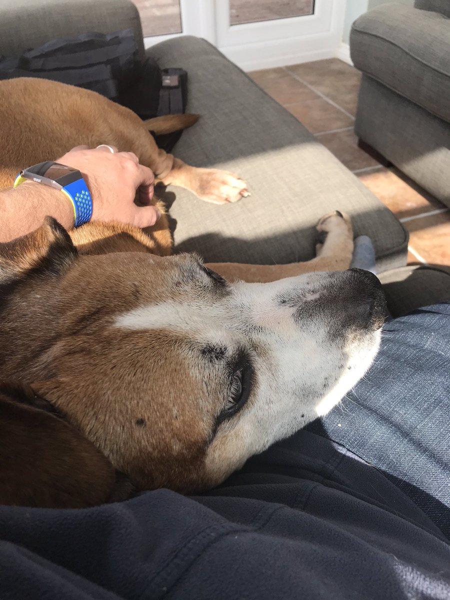 Dave Roberts tweet media