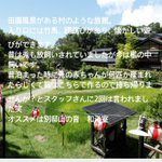 ツイートに含まれる画像