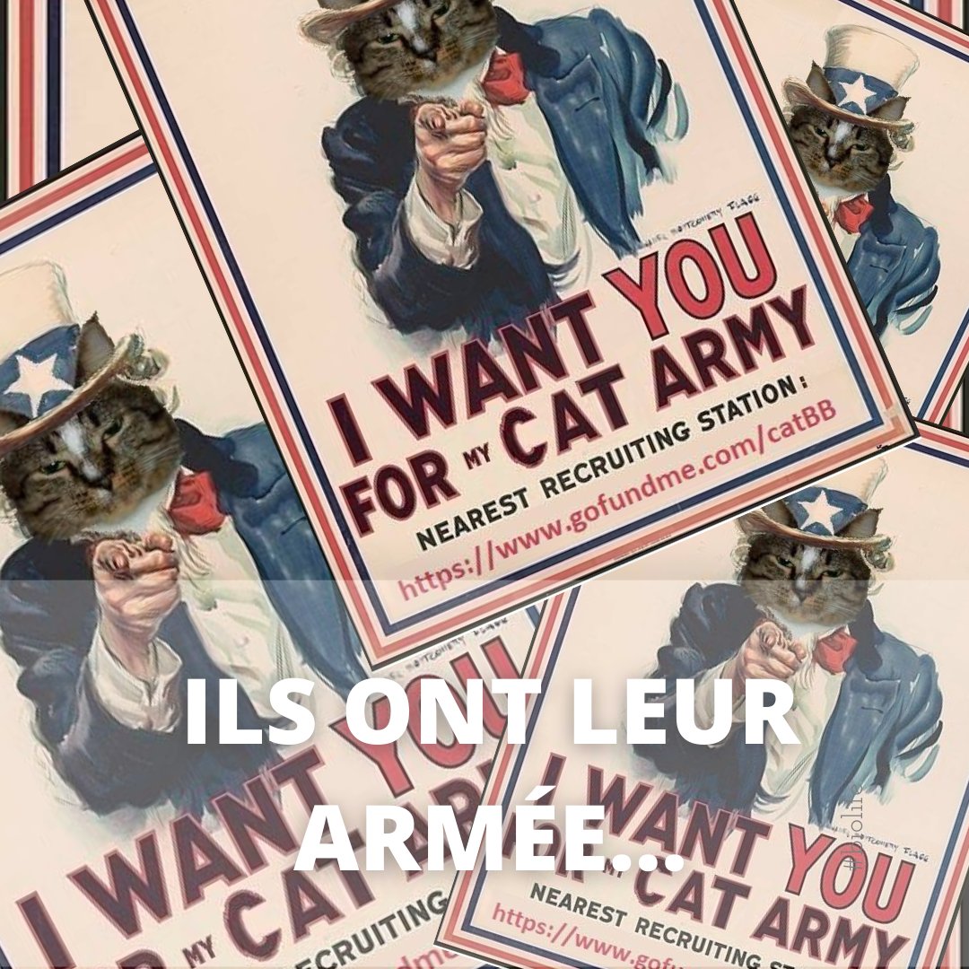 Parole De Chat Faireset Twitter Parole De Chat Faireset Twitter