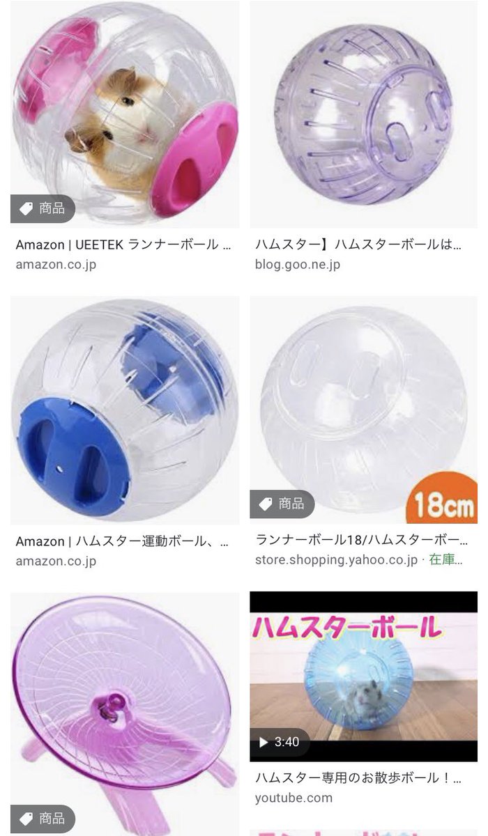 魔女っこれい ハムスターを一日1時間近く外で遊ばせているのに満足出来ないみたいでずっと外で遊びたがるから リア充が月に1度 高校の同級生と集まっていい汗を流しfbに集合写真をアップしてるやつみたいなの買おうかな