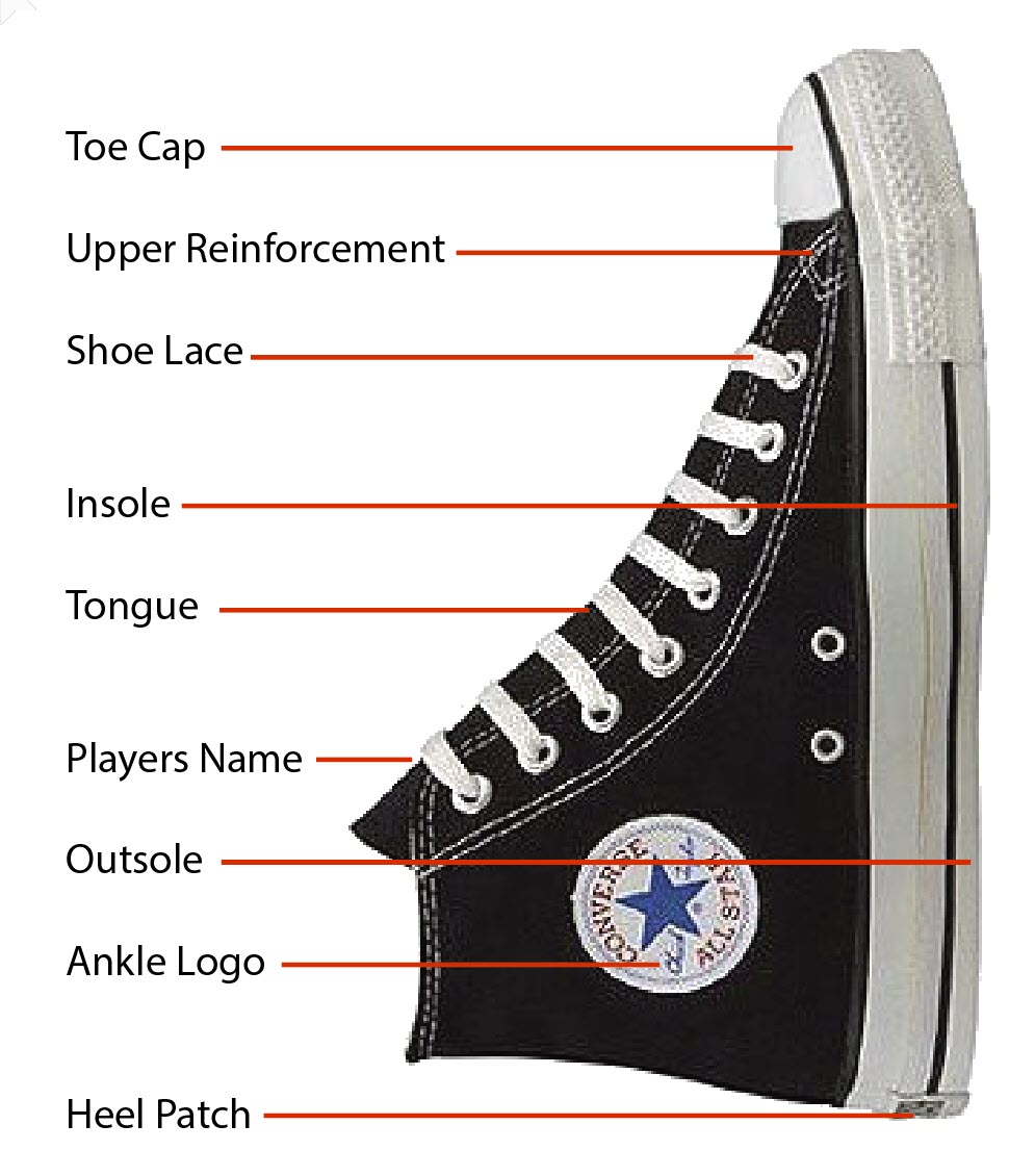 Anatomy of the Shoe