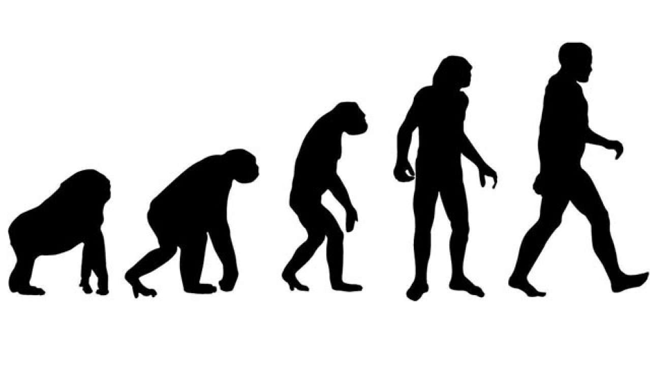 The most basic cognitive models deal with survival.We generally call them instincts.Only the instincts that proved helpful in survival and procreation of an individual have been passed on through generations and evolved into what they are today.