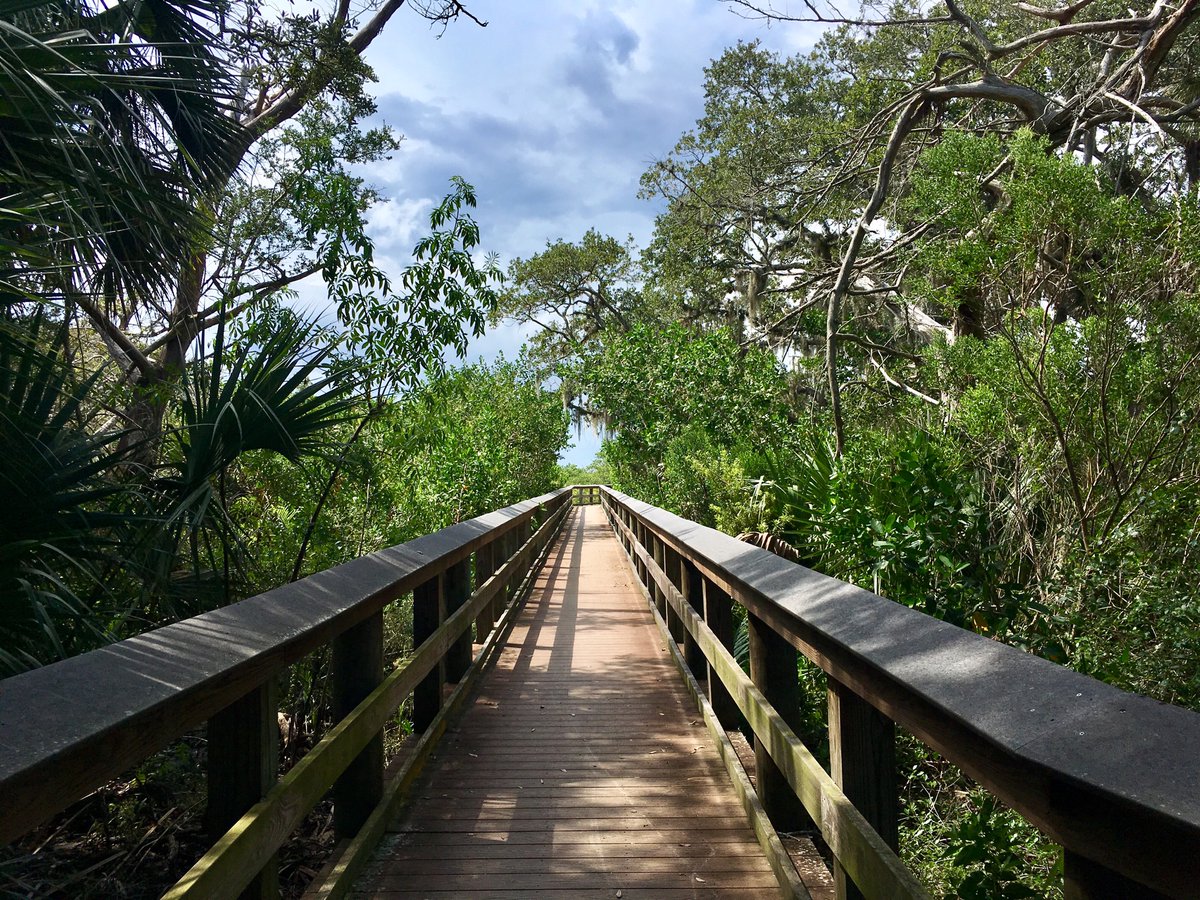 abikeanditsgirl's tweet photo. Boardwalk at Timucuan Oaks Garden, through mangrove swamp with oaks & cedars & palmettos...
Hubby & I attempt a selfie with Ponce Inlet Lighthouse in the background...ππ€
#cycling #FLvacay #firstfullday https://t.co/8QwxCpvbMf
