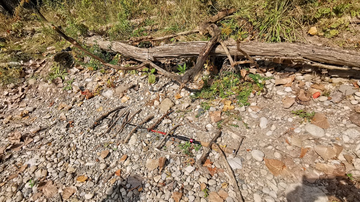 HuberRob's tweet image. River collage #AntlerRiverRace @H2OAlliance