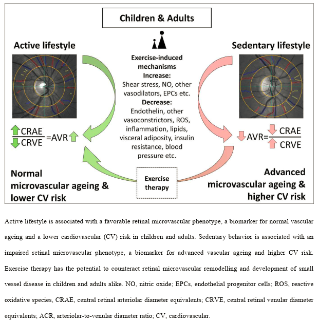 PhysioMeScience's tweet photo. Physical activity and exercise improve retinal microvascular health as a biomarker of cardiovascular risk: A systematic review

👀👀👇👇

https://t.co/Hxh2ZpZ2dt https://t.co/h84dqe9Kbe
