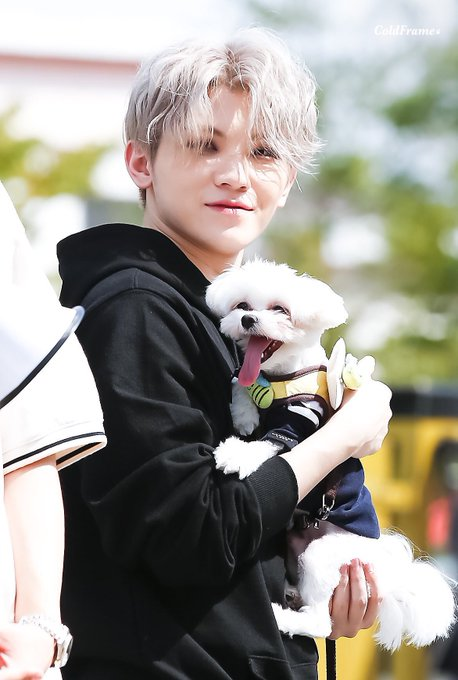 190928  #WOOZI  #우지