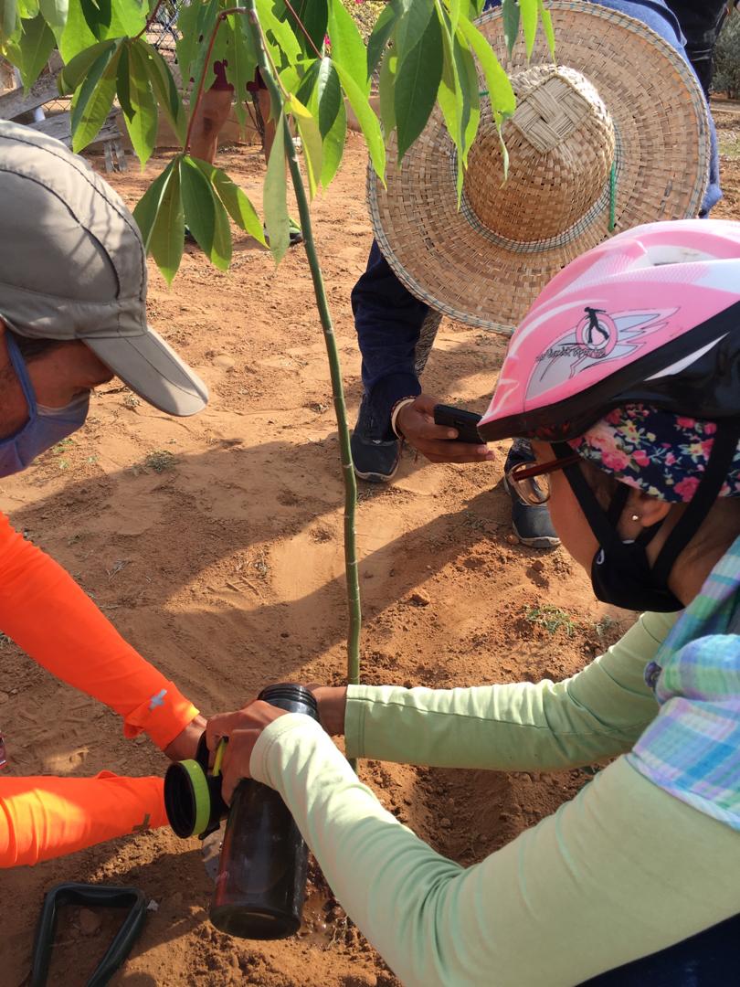 En San Francisco #Zulia, la Acción Global por el Clima estuvo a cargo de <a href="/CicloviasS/">CicloviasSF</a>. Arte en ruedas, siembra, alegría y esa enorme energía que contagia y nos da la certeza de que SI es posible una #Venezuela con #JusticiaClimatica
#FridaysForFuture
#25S #EmergenciaClimaticaVzla