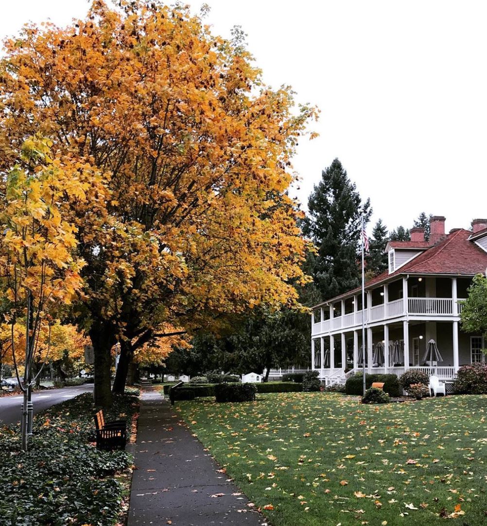 Vancouver_USA's tweet photo. Take a self-guided tour of #OfficersRow &amp; beyond to learn about the trees &amp; botanical features of the @FtVancouverNPS area before the leaves fall! 🌲 

Find the @HistoricTrustWA’s brochure here: https://t.co/gaT9vOIKMf #DiscoverVanUSA #Fall 

📸: Johnna Izzo-Bakht | Oct 2019 https://t.co/mt0ZeA5BLw
