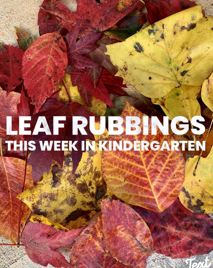 jena_evans's tweet photo. #fallfoliage #iteachkindergarten #fallartproject #leafrubbings https://t.co/i3j1RspNmm