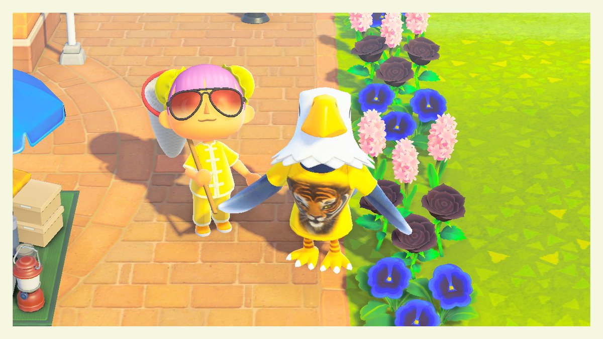 hooshico's tweet photo. #AnimalCrossing #ACNH #NintendoSwitch https://t.co/VtJdzhEdqN