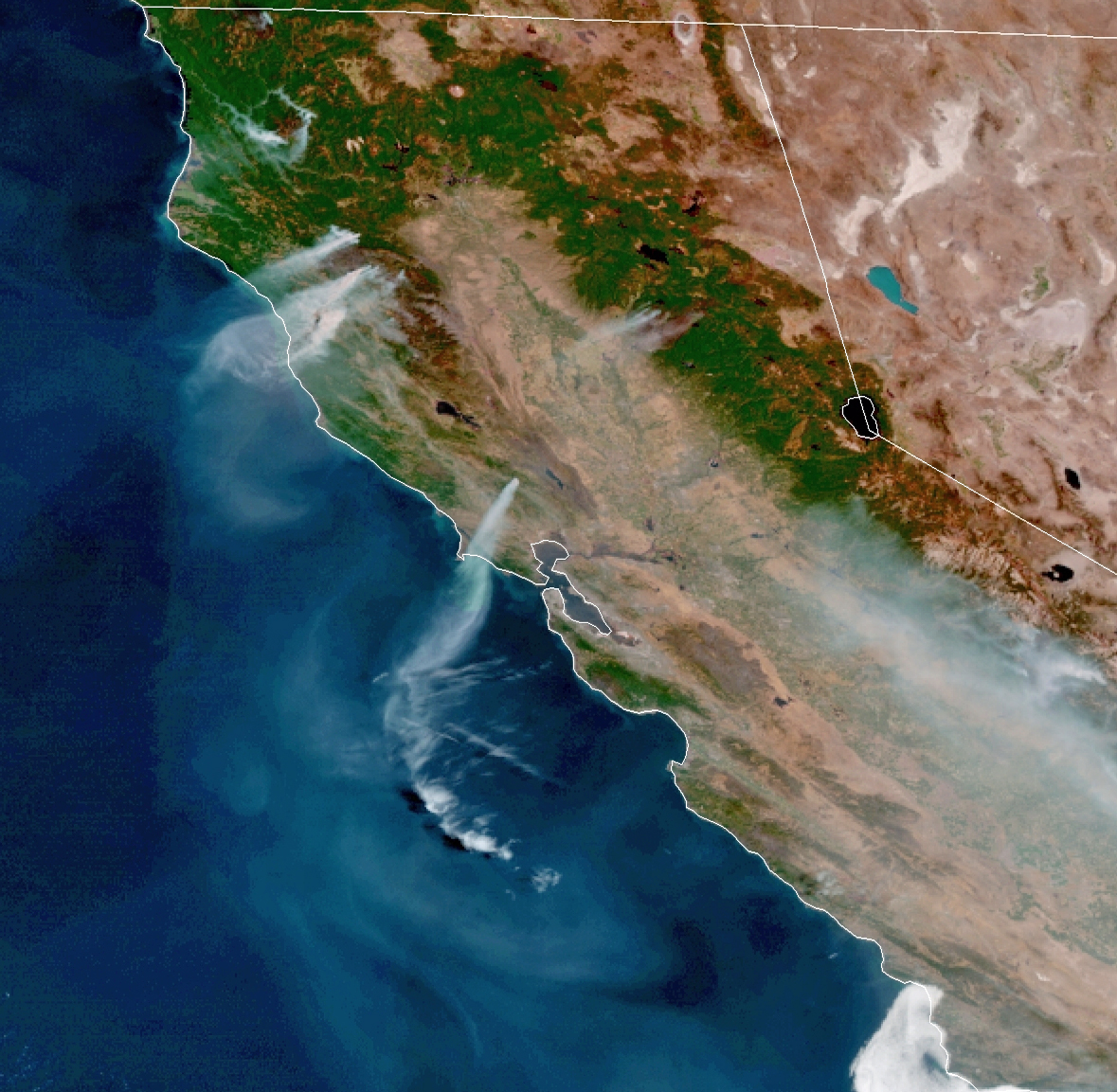PGE_John's tweet image. “The wind is the fire boss,” Dan Turner. You can see how the northeasterly winds in Northern California are stoking new and old wildfires, driving the smoke plumes over the Pacific. #GLASSFIRE #NorthComplex #AugustComplex #CAwx