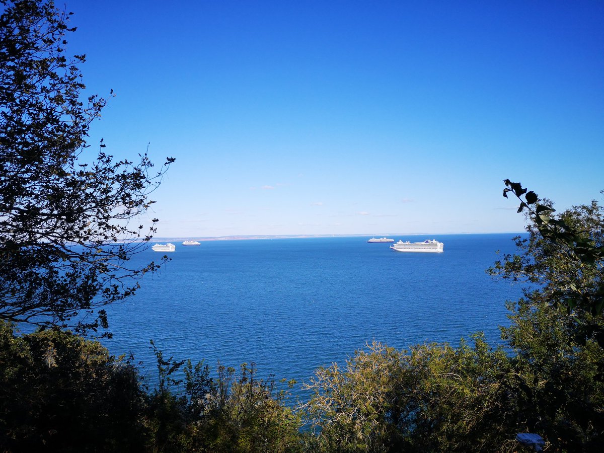 English Riviera Walking Tours tweet media