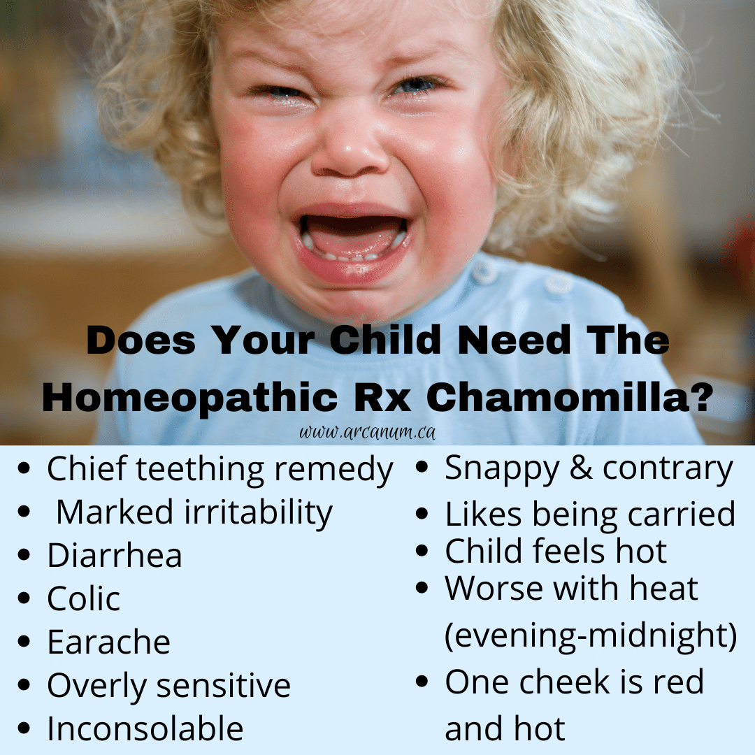 amcquinn's tweet image. Does you child need the safe and effective homeopathic remedy chamomilla? #contrary #notsoothed #besidethemselves #pain #colic #miserable #irritable #teethpain #earache #fever #homeopathy #homeopathic #heilkunst