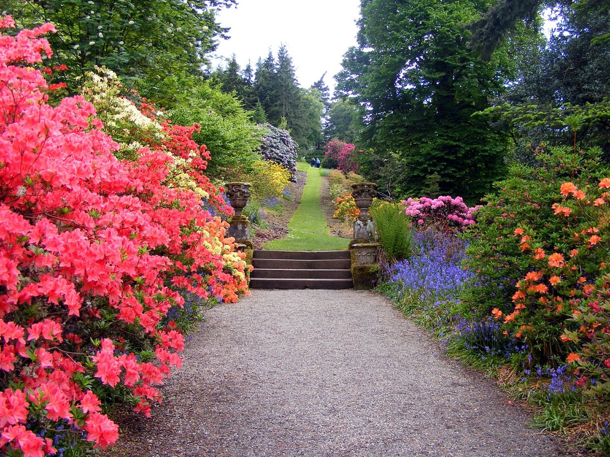 NRSRYpk's tweet photo. Add colors in your lawn by adding seasonal flowers. Having green plants make your Garden look boring.

#NRSRYTip #GardeningTip https://t.co/56C0LYoGJ5