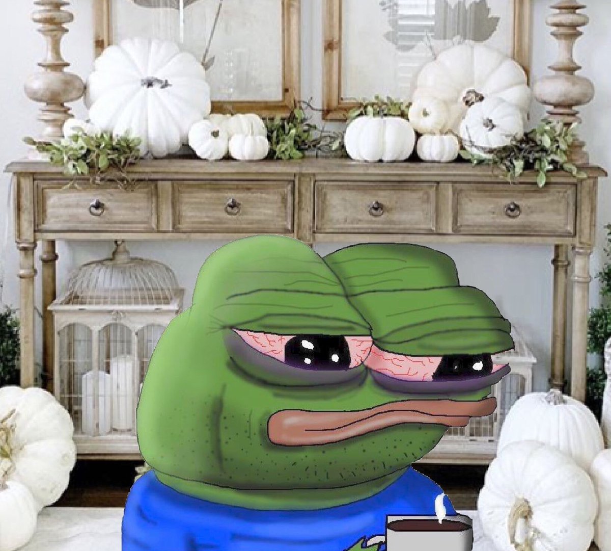 NotPepes's tweet image. I shant ever drink again