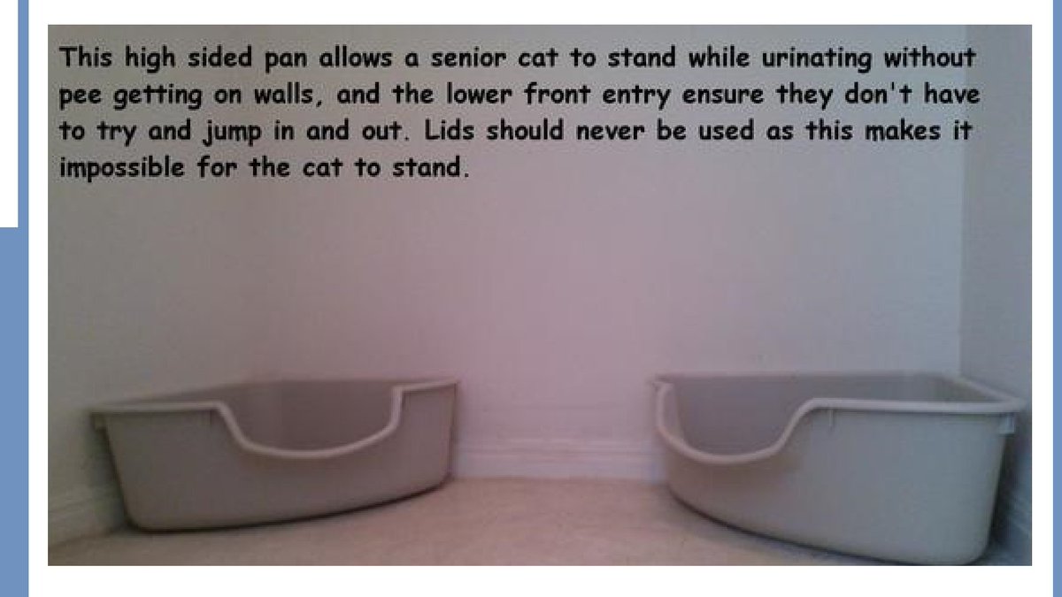 AskMrFrisky's tweet photo. MrFrisky's Daily #Pet CareTip:Senior #cats can have #litterbox issues like #clumpinglitter sticks to back legs: You can switch to crystal litter,puppy pads,shave fur on bottom of backlegs,or keep babywipes on hand for 2/day wiping to avoid them ingesting. https://t.co/MBJJIOm4xr