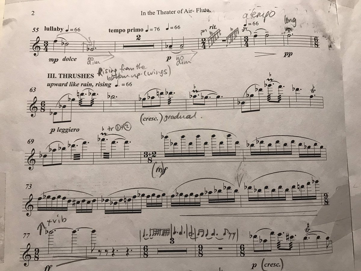 MarsyasTrio's tweet photo. It’s an absolute joy to be practising this piece again. Hilary Tann’s ‘In the Theatre of Air’ @nmcrecordings which we’ll be playing live at Blackheath Halls in 2 weeks. Feeling so lucky to have a live concert coming up https://t.co/iOJOsdM2vH https://t.co/uLeNx5gi6h