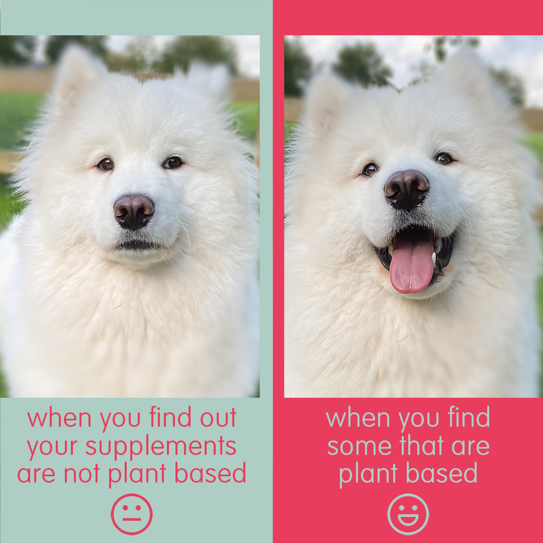 Bodhi's reaction when she finds out that all of Together's vitamins and minerals are #plantbased! 🎉🤩

Being as inclusive as possible is something that’s important to us, so being fully vegan means our products are more accessible, to more people 😊