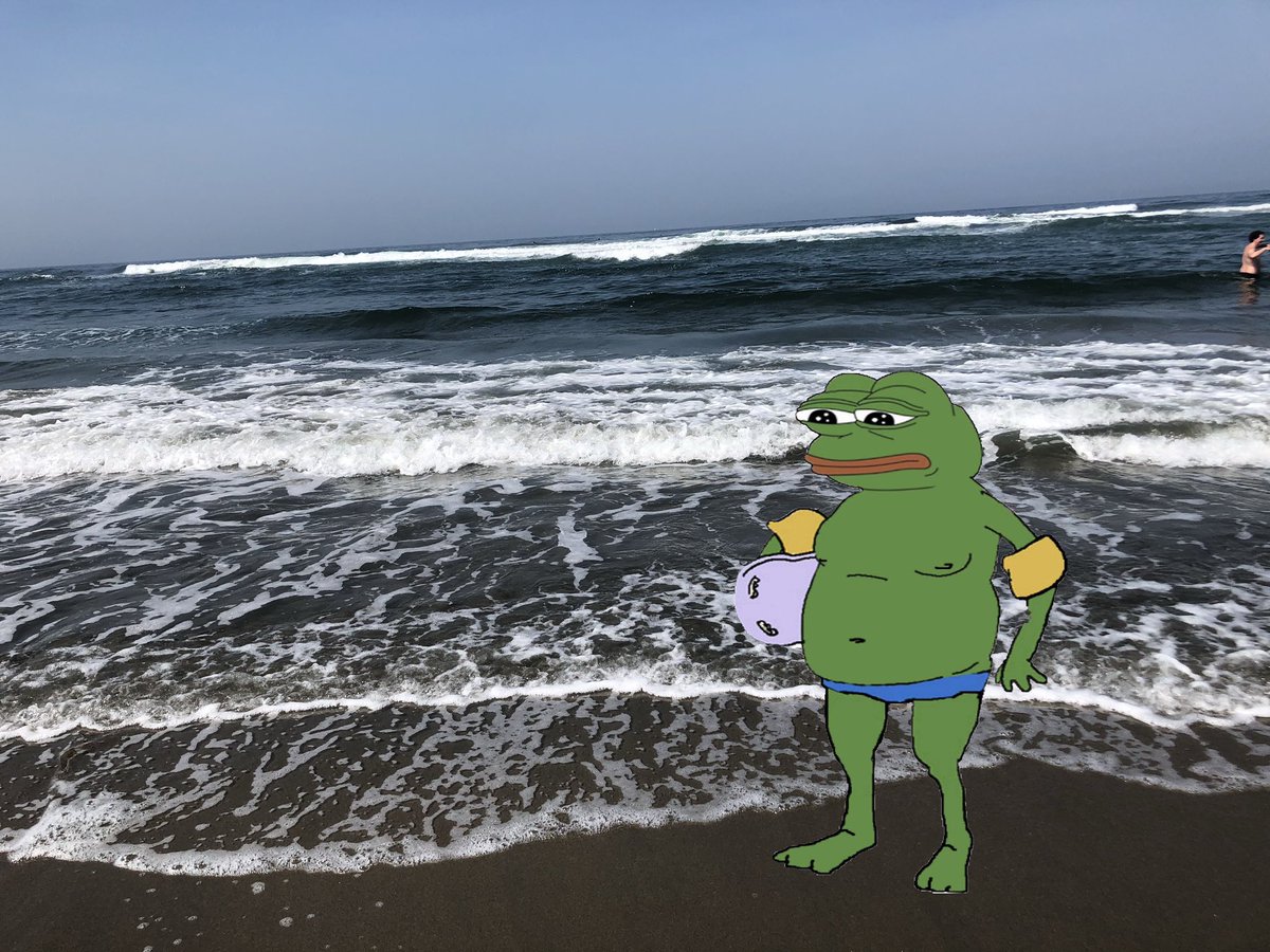NotPepes's tweet image. Going to the beach to purify my soul
