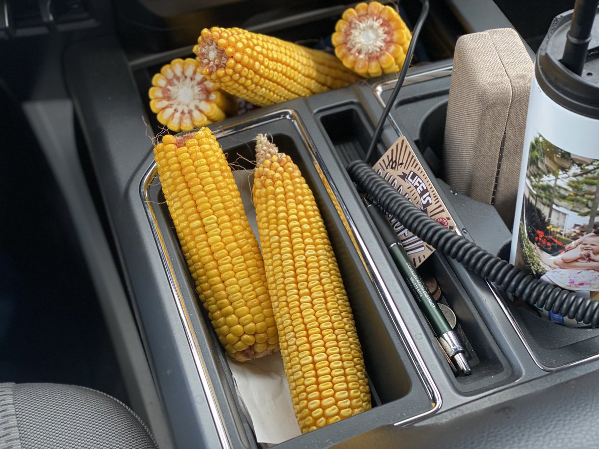 EngelhardFarms's tweet photo. When you borrow your husbands pickup to run an errand and this greets you 😂 Harvest season is quickly approaching! 

Does this happen to any other farm wives out there?￼￼! @LgSeedsMichigan @MichFarmBureau #harvest2020 https://t.co/6ZqlnXtJWN