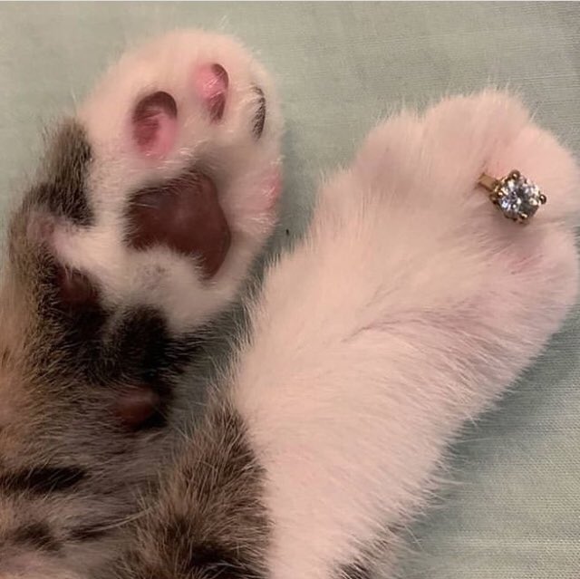 Çok mu şey istiyoruz be