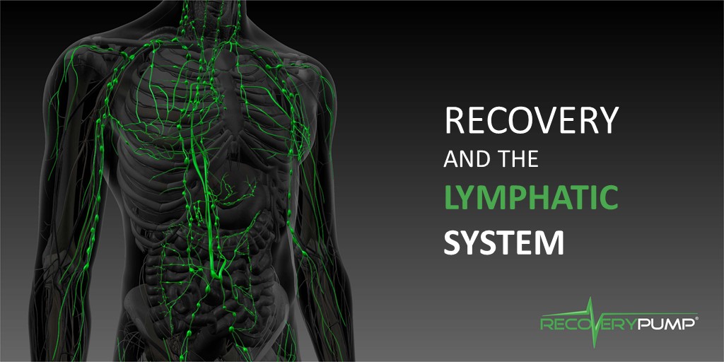 Our lymphatic system &amp; blood vessels work together to flush waste from our cells naturally. Compression therapy helps increase venous return and lymphatic drainage, rapidly accelerating the body’s natural removal of waste elements which cause soreness and fatigue in the muscle.