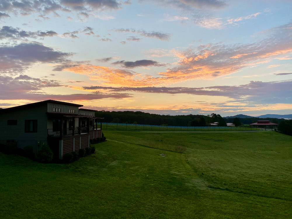 Reflecting on Summer 2020 - virginiawinetime.com/2020/09/27/ref… <a href="/VAWine/">Virginia Wine</a> #vawine <a href="/AftonMountain/">AftonMtnVineyards</a> <a href="/stinsonvineyard/">Stinson Vineyards</a> <a href="/PollakVineyards/">Pollak Vineyards</a> <a href="/JakeBusching/">Jake Busching</a> <a href="/keswickvineyard/">Keswick Vineyards</a> <a href="/MSwineworks/">M. Shaps Wineworks</a> <a href="/kingvineyards/">KingFamilyVineyards</a> <a href="/Barboursville/">Barboursville Vineyards</a> <a href="/VeritasWinery/">Veritas</a>