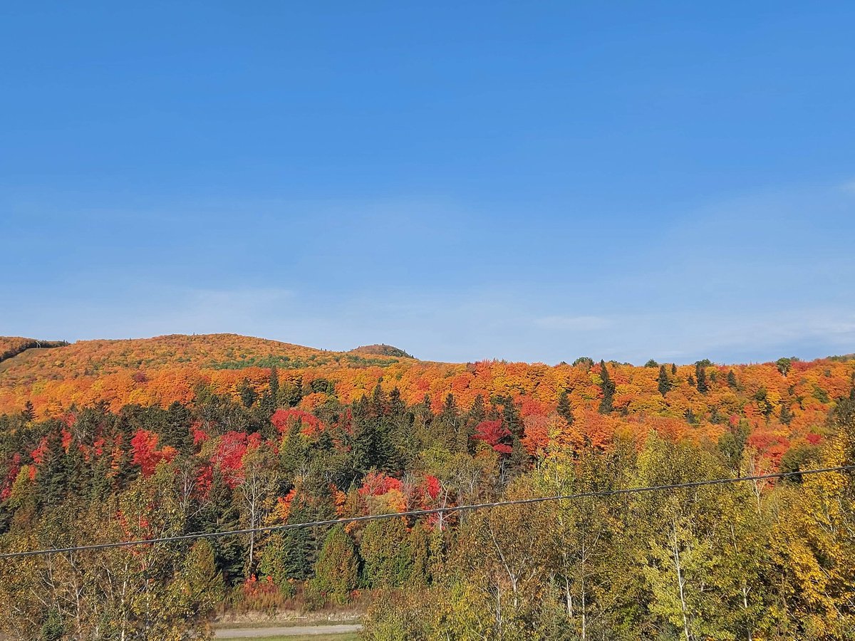 #RunForWomen #MentalHealthAwareness Supporting mental Health!