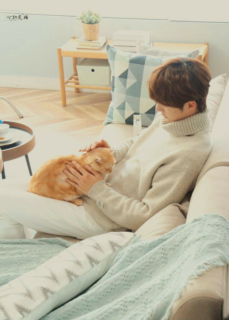 rukiest's tweet photo. 《Meow》WANGXIAN AU!

─ Onde o gato de Wei WuXian vive uma vida dupla e Lan WangJi tenta provar que é o verdadeiro dono. https://t.co/R5oCP14bUW