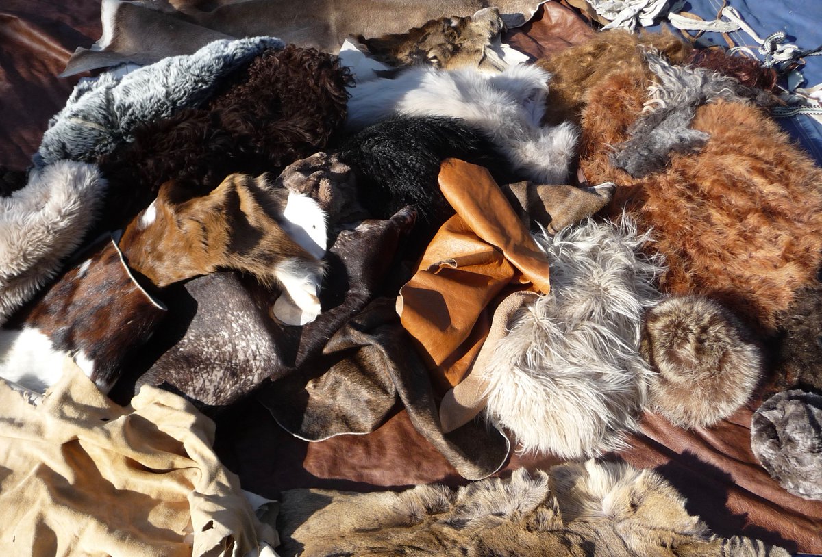 TheHistoryMan tweet media