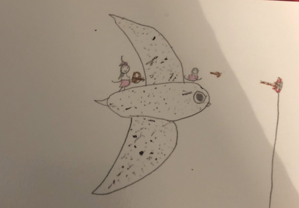 rori shapiro tweet media