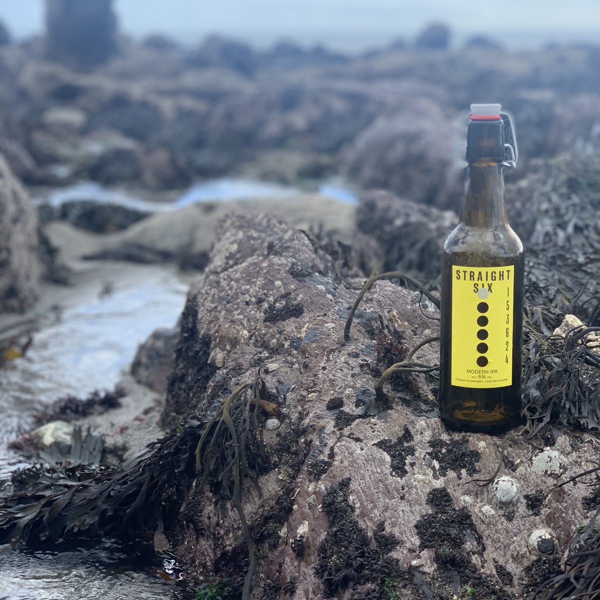 papersourcenz's tweet image. Factory Yellow #ColorplanLabels spotted down on the Cornish coast, in the UK, with Straight Six Brewery.
#Colorplan #ColorplanColours  #premiumpaper #luxurypaper #colouredpaper #papersamples #ColorplanFactoryYellow  #Cornwall #craftbeer #microbrewery