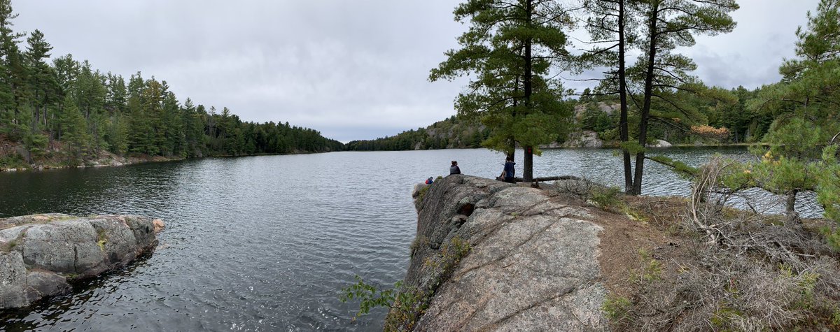 Donald Campbell tweet media