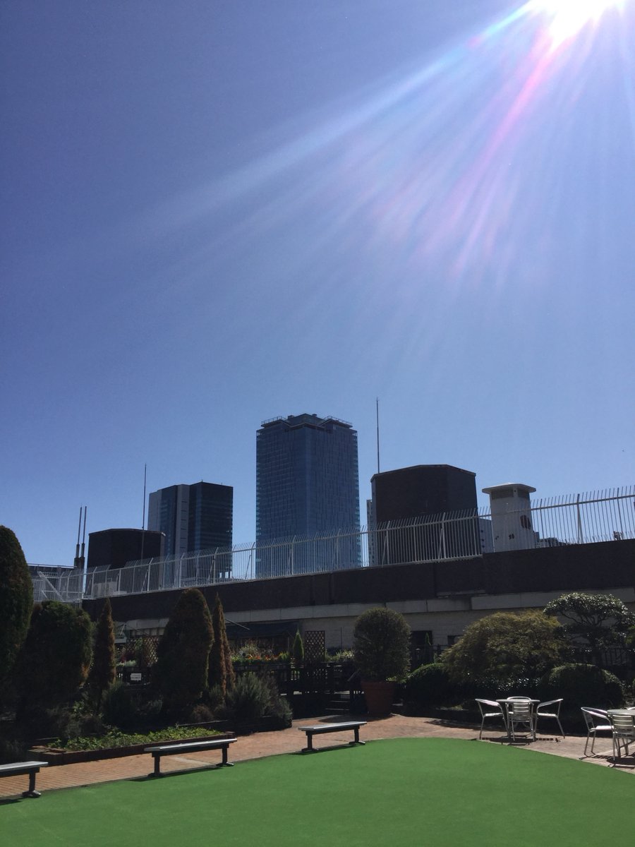 東急百貨店 本店 こんにちは ツグミです いやぁ 気持ちのいいお天気ですねぇ 東急本店の屋上から見上げた空の青さったら このままひなたぼっこをしていたい気分でした さぁ 今週も元気よくまいりましょー よろしくお願いいたしまーす