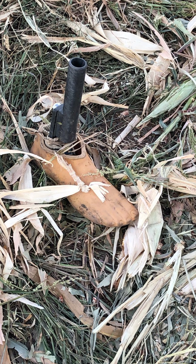 Somebody lost a foot in a corn field!?!?