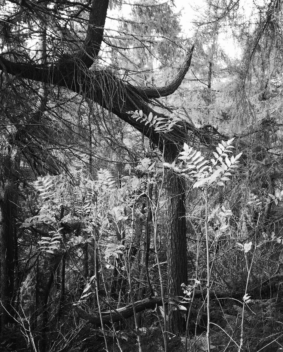 Very, very special and glorious place ❤️ #withholmsey <a href="/RobinLaRoca/">Robin La Roca</a> <a href="/queenviv1/">Vivien Spencer-Grey</a>