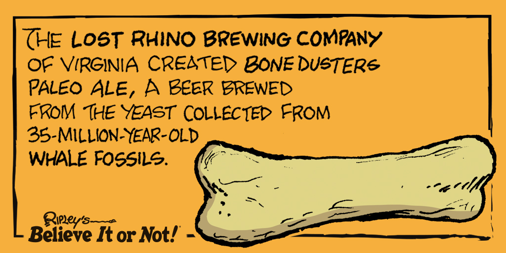 Taking their #brews down to the bone! 🐋 #TheLostRhinoBrewingCompany
https://t.co/d62D2EGfxS https://t.co/3rZXgbMHtQ