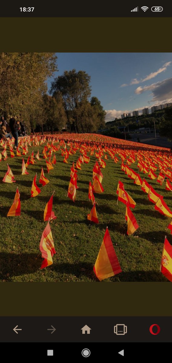 Trastras11's tweet photo. @lb3081 @vox_es Por ellos, por los muertos por #COVIDー19 y por el desastre de #GobiernoCriminalyCorrupto . #dep #parqueroma #ParquedeRoma #M30 https://t.co/z04TIR9TQ3