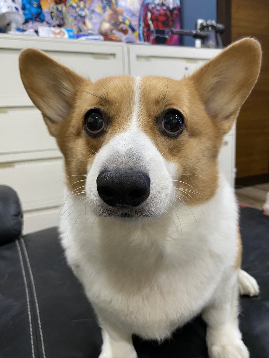 ayson's tweet image. 