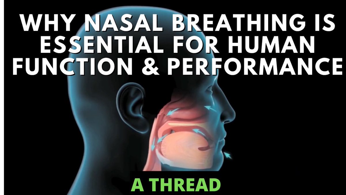 A thread on Nasal Breathing - Why it it is necessary for human function & performanceTravis et. al, 1996 found that breathing through the nose during aerobic exercise decreased perception of stress/intensity and significantly  endurance...