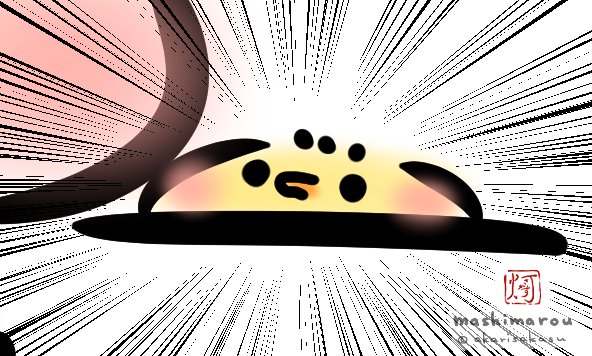 今日は、
#プライバシーデー
#パソコン記念日
だそうです。

#ましまろう 