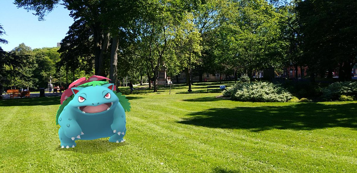 I must say, I do just love the look of my  #Venusaur, Sprout, standing amongst the recently-landscaped King Square on a bright, sunny day for  #GOSnapshot purposes. A dramatic change from the wintry snapshots we started off with! #PokemonGO  #PokemonGOARplus  #PokemonGOBuddy