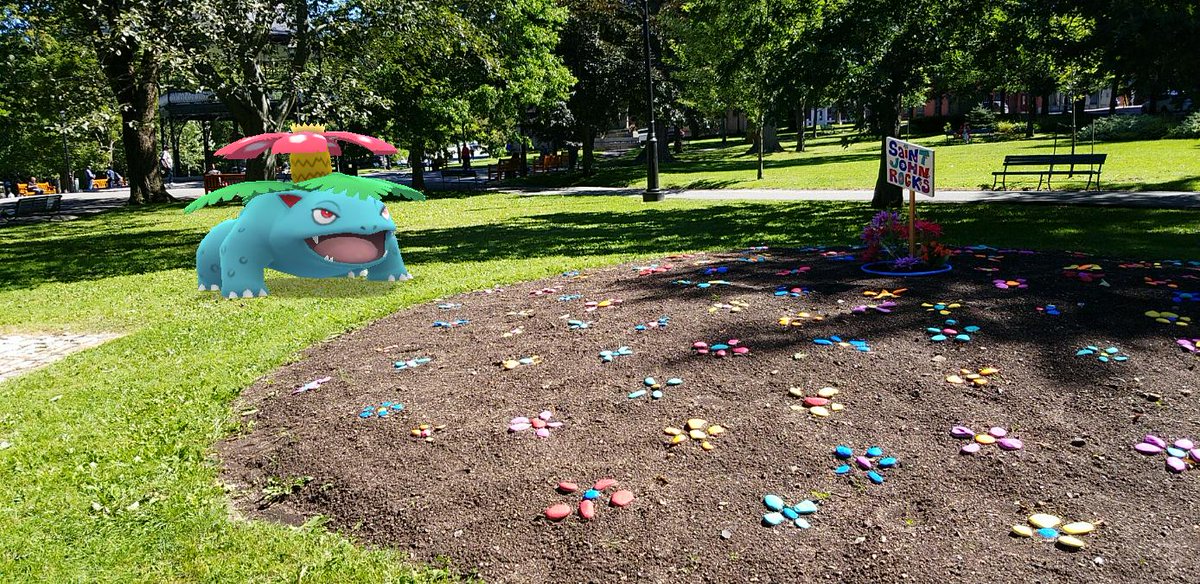 I must say, I do just love the look of my  #Venusaur, Sprout, standing amongst the recently-landscaped King Square on a bright, sunny day for  #GOSnapshot purposes. A dramatic change from the wintry snapshots we started off with! #PokemonGO  #PokemonGOARplus  #PokemonGOBuddy