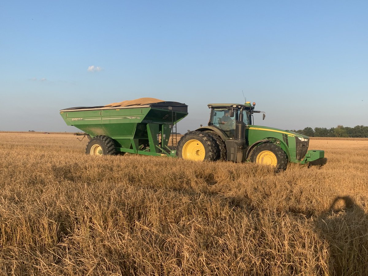 BectonBell1979's tweet photo. Last rice field. https://t.co/kkzZ5fi5sk