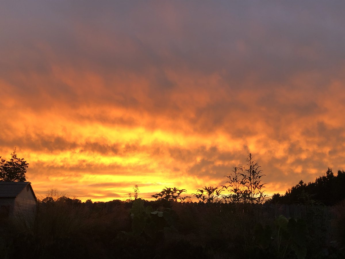 wmlippard's tweet photo. Sunset in Rockwell @rowan_county_wx https://t.co/g9rntbnucW