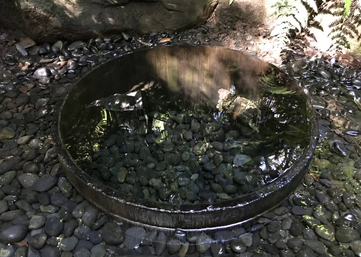 清正井 清正井