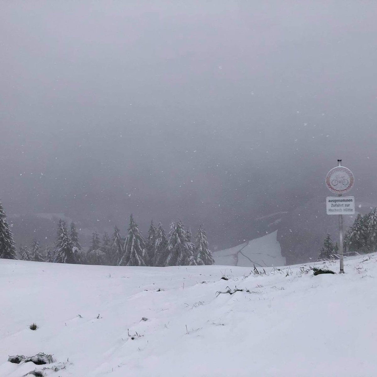The @LandRoverUSA U.S. Alpine Ski Team men’s downhillers hiked up the @hahnenkammrace in Kitzbühel last Thursday. Less than 24 hours later, Kitz had their 1st snow. Good omen from Üllr?! ✅