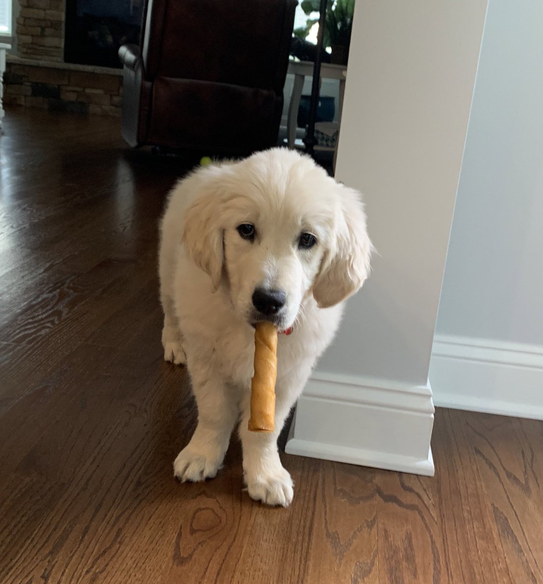 Nick Densel tweet media